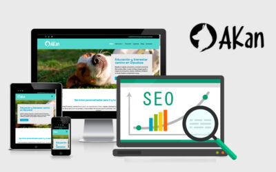Optimización SEO Akan