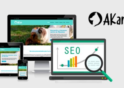 Optimización SEO Akan